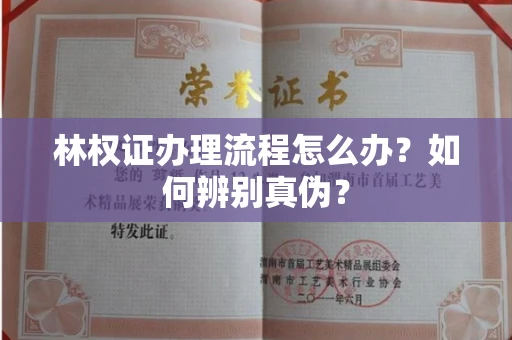 全国林权证办理流程怎么办?如何辨别真伪?