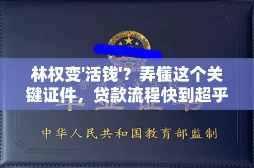 全国林权变'活钱'？弄懂这个关键证件，贷款流程快到超乎想象！